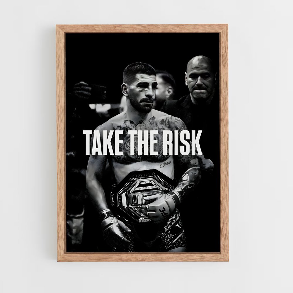 Poster L'Assaut d'Ilia – affiche MMA (vue 4)